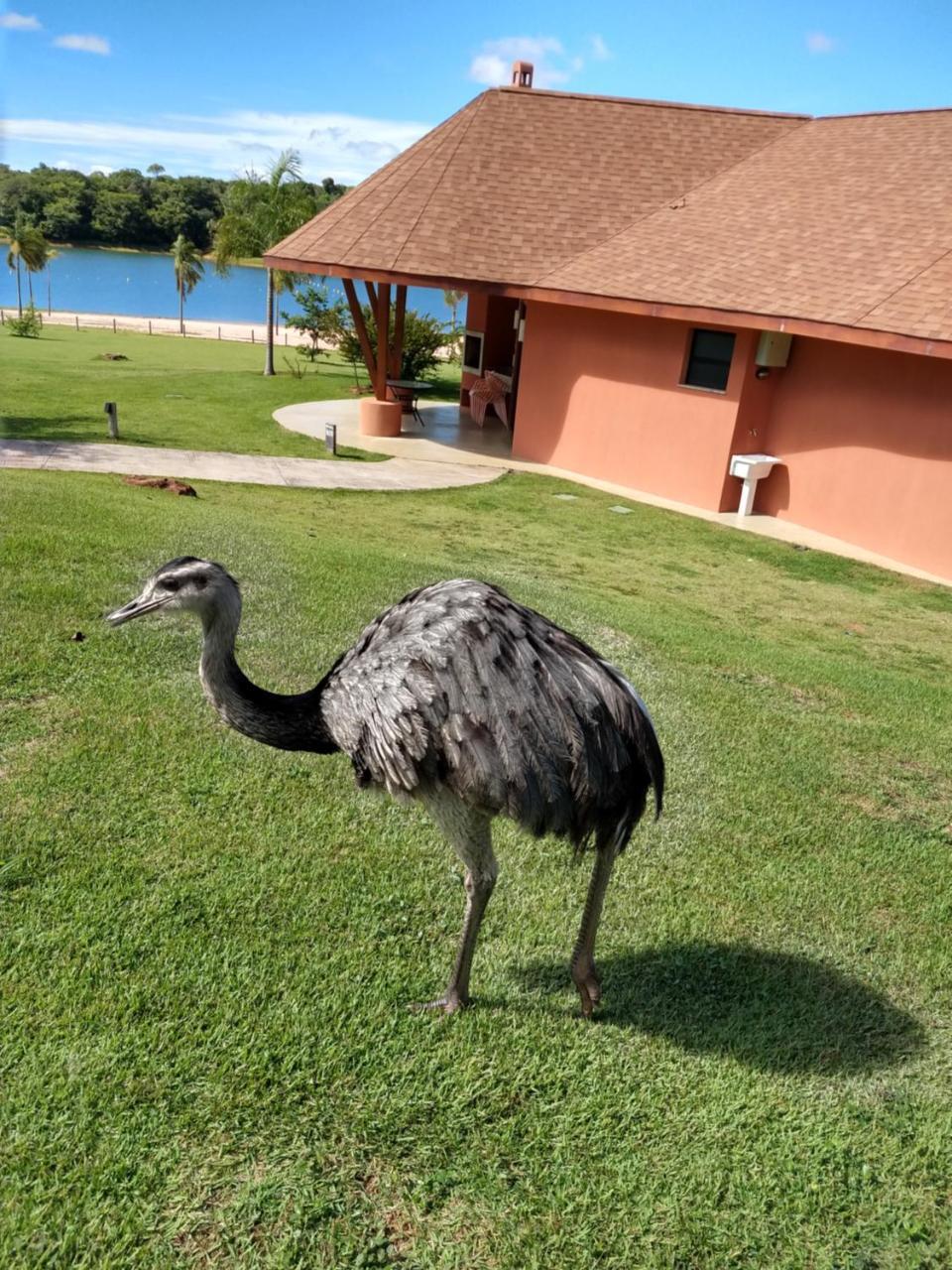 Malai Manso Cotista - Resort Acomodacoes 4 Hosp (Adults Only) Retiro  Dış mekan fotoğraf